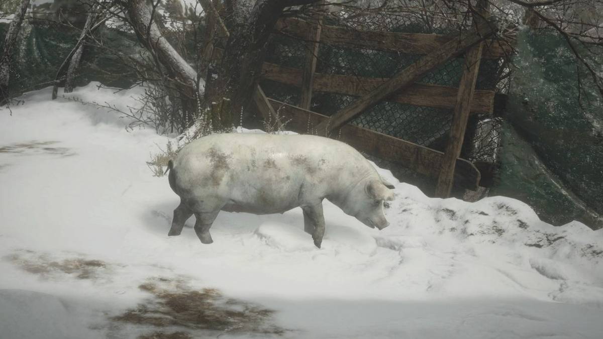 resident evil village quality meat pig