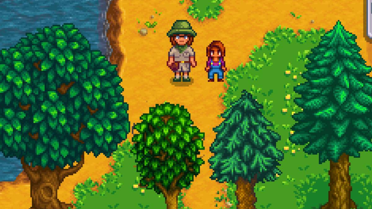 stardew valley super zoo story comparison