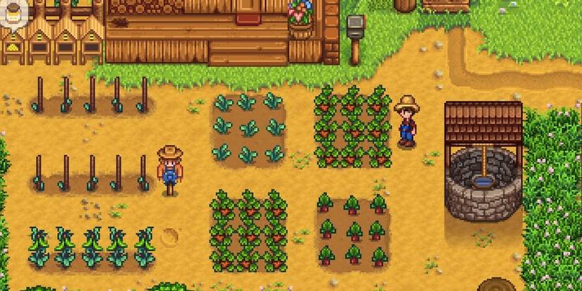 farmer working on the farm