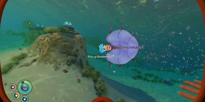 edible fish about to be caught.