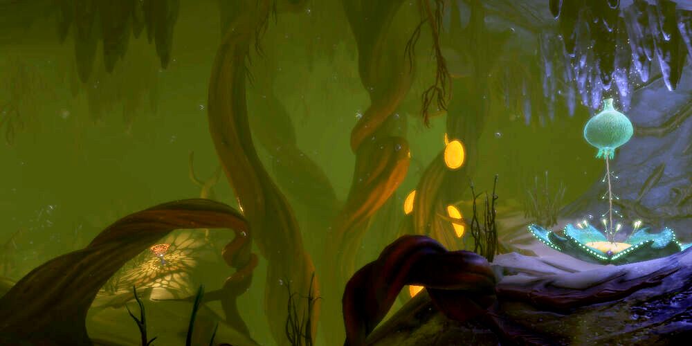 murky cave under kelp forests.