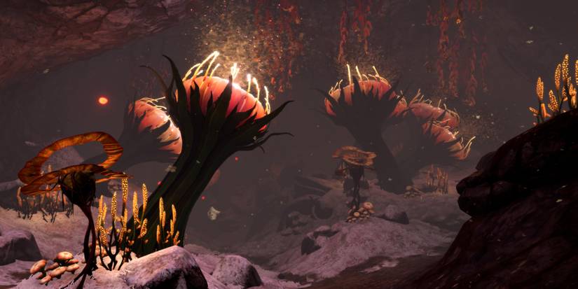 glowing plant life in this deepsea cave.