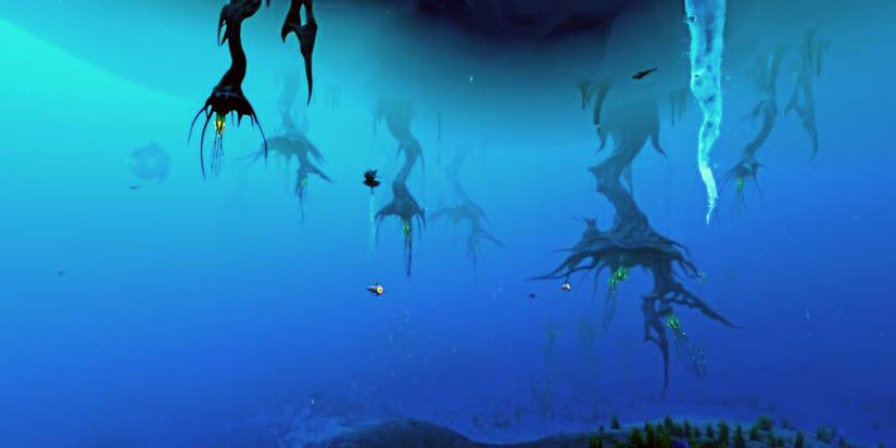 open water near the arctic with a unique plant.