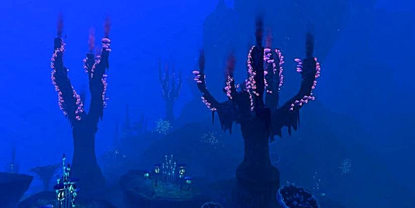 biome with tree-like organisms.