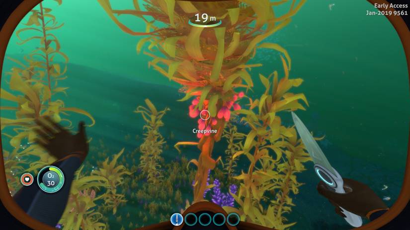 How to get Creepvine Sample