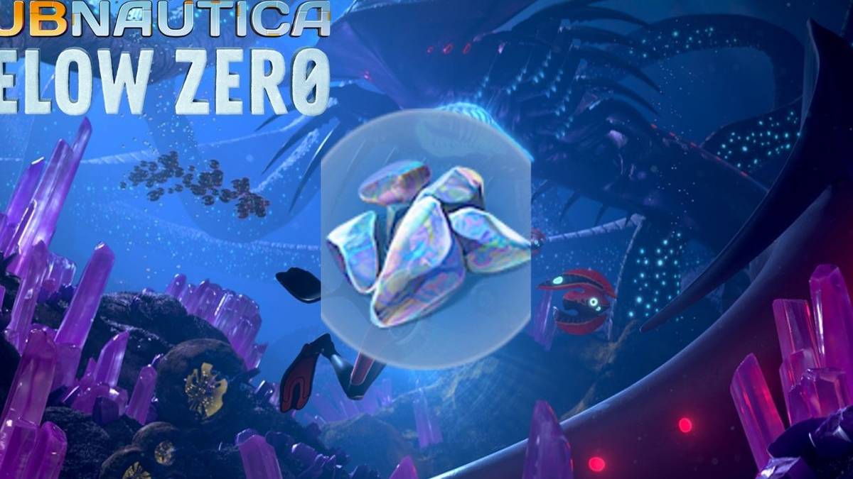 Enameled Glass location and uses