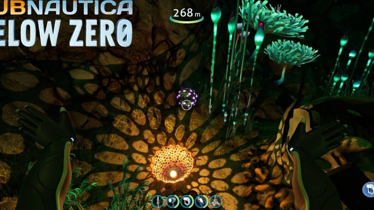 Gel Sack location and uses