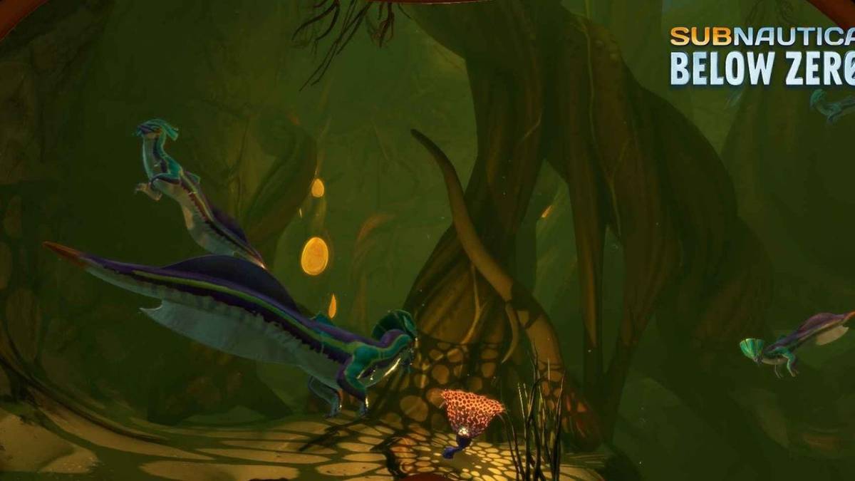 How to get root pustules