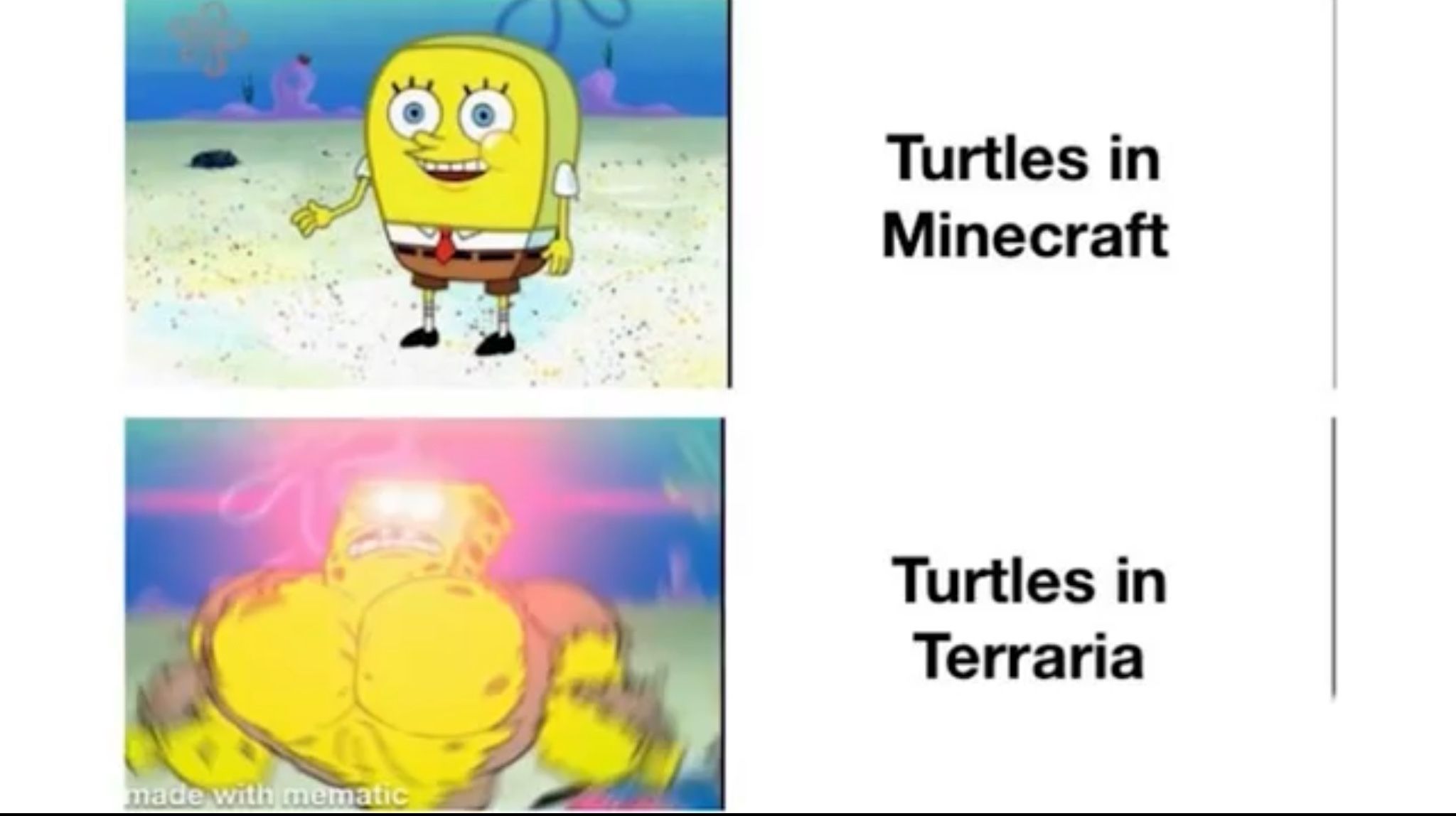 meme about turtles in both games with spongebob.