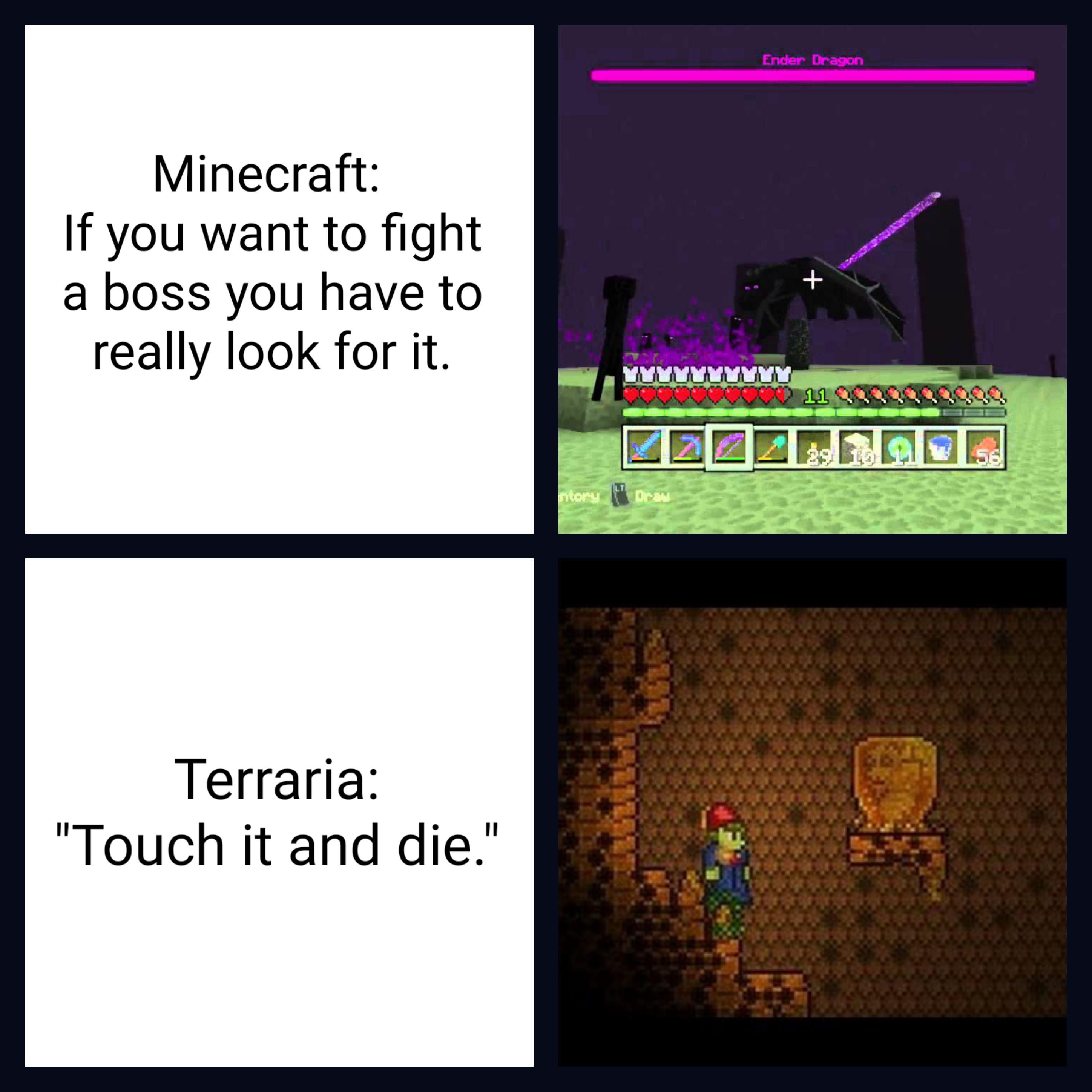 meme comparing minecraft to terraria.