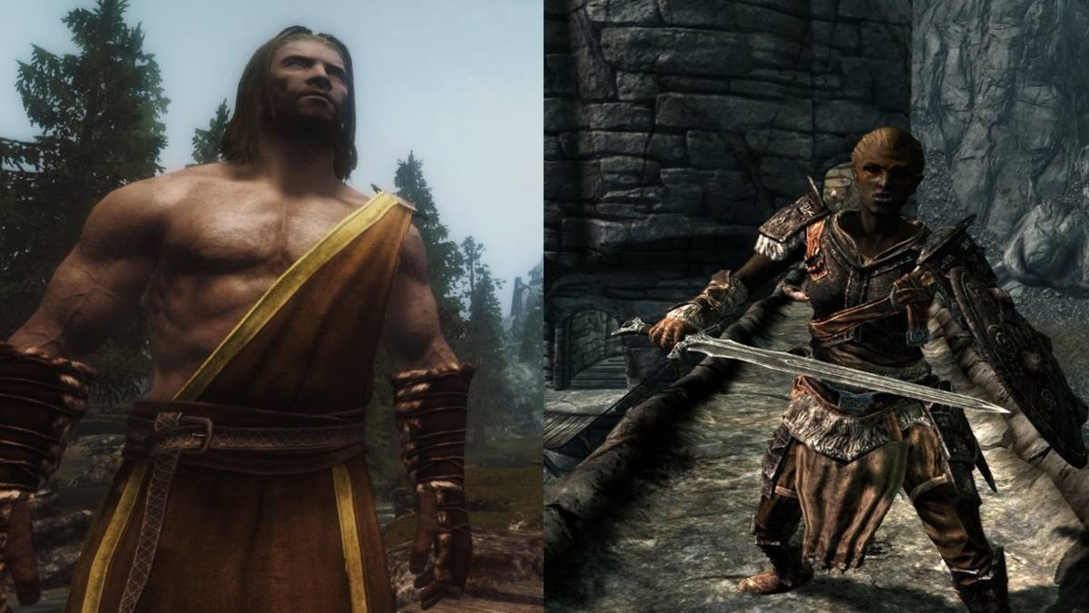 Split image, Monk, Bandit, Skyrim