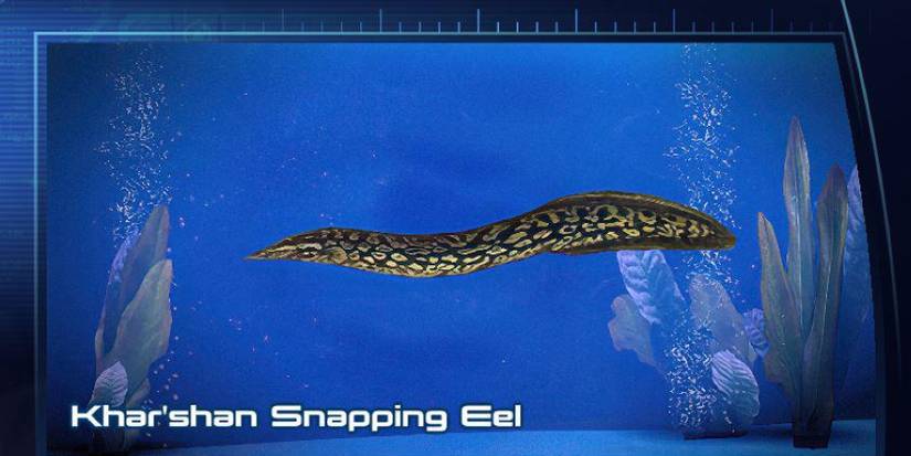 Eel.