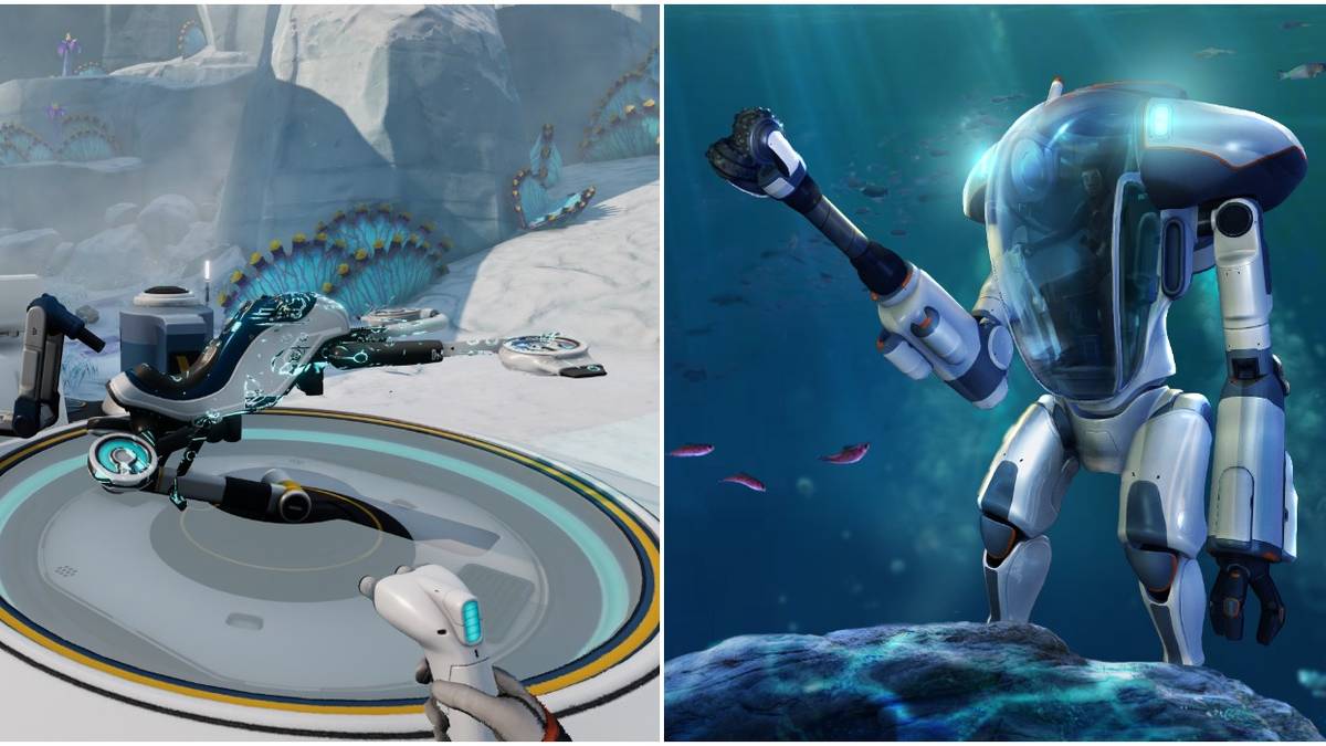 (Left) Snowfox (Right) Prawn Suit
