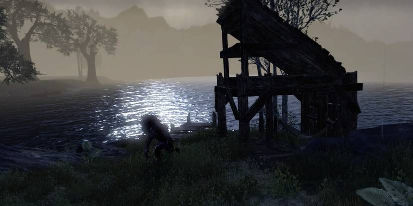 10 Hidden Blackwood Areas Troll Island