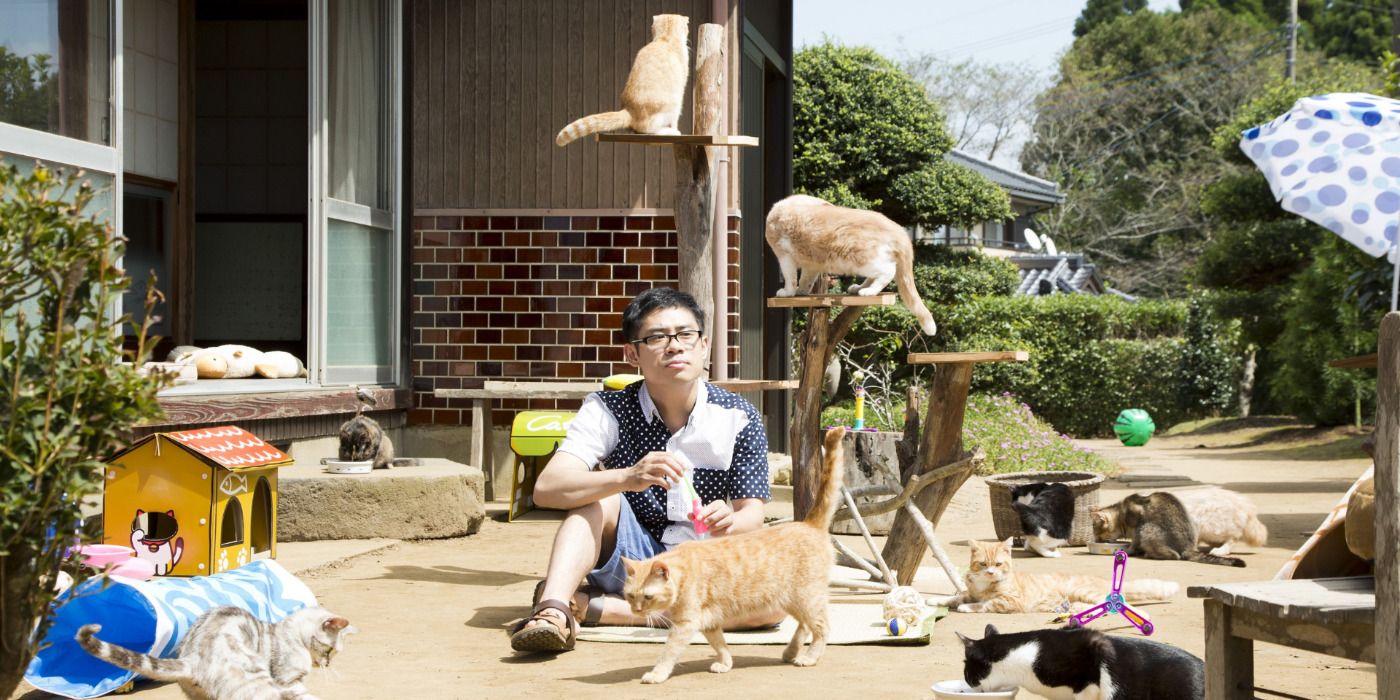 The main character surrounded by cats from House Of Neko Atsume