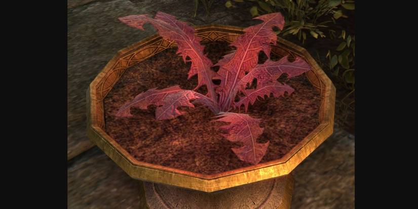 10 Things About Blackreach Crimson Nirnroot