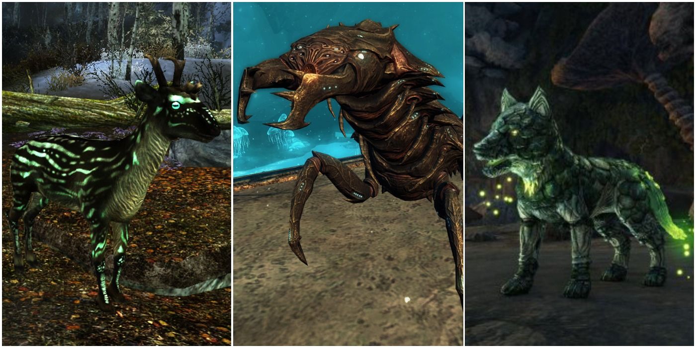 10 Things About Blackreach Unique Flora and Fauna