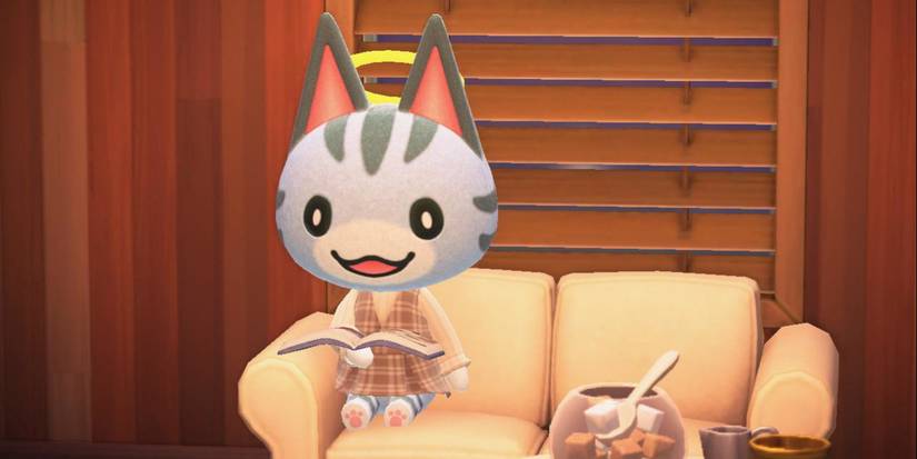 Lolly Animal Crossing Villager Guide