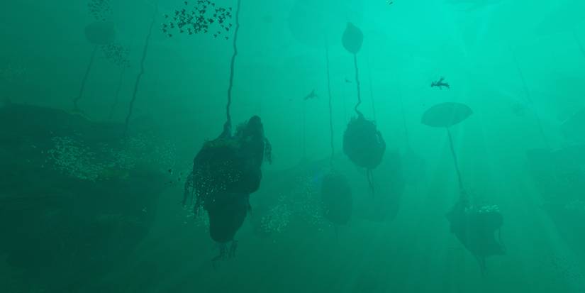 Below Zero Lilypad Islands