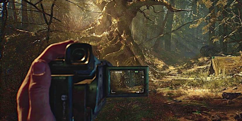 Blair Witch In a Sunny Forest