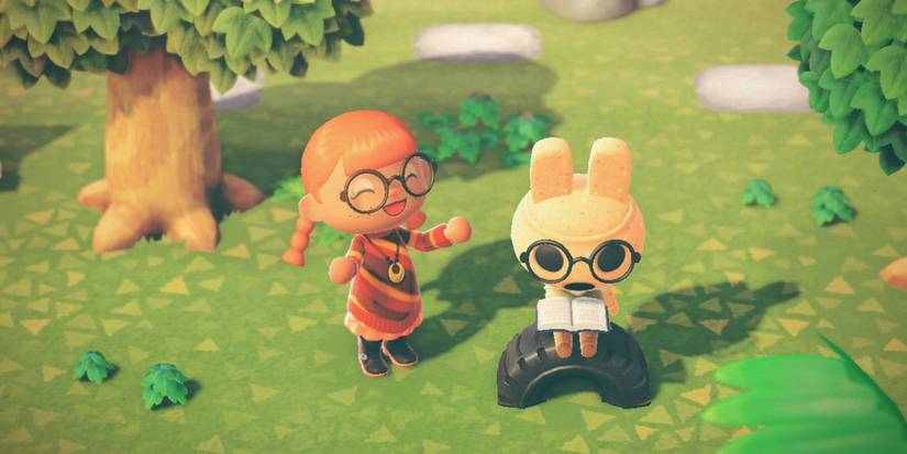 Coco Villager Guide Animal Crossing New Horizons