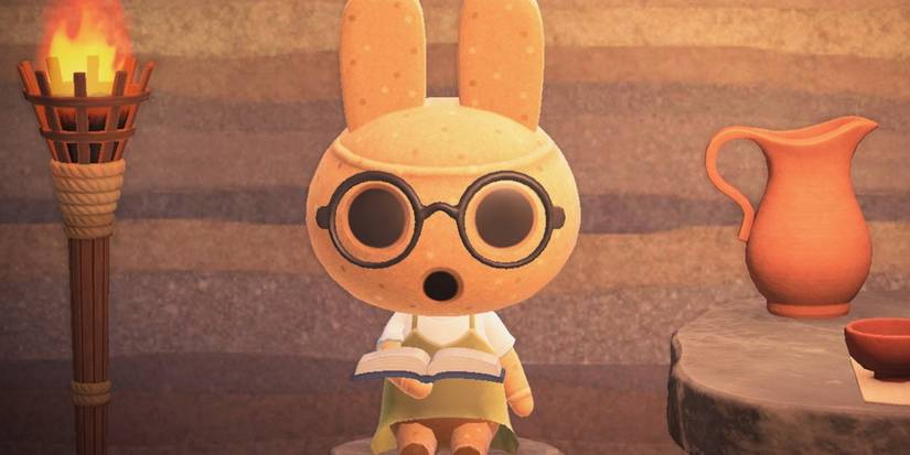 Coco Villager Guide Animal Crossing New Horizons