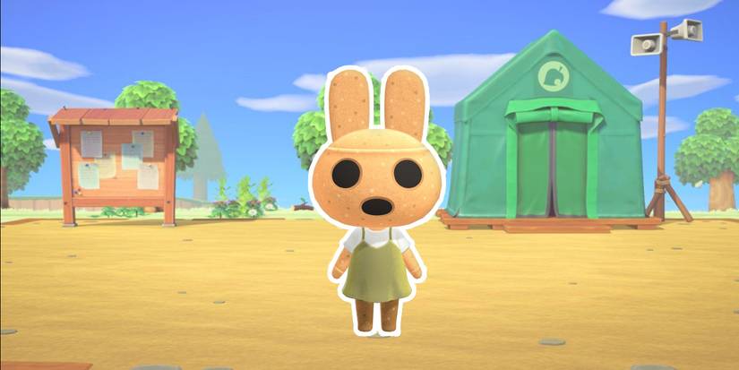 Coco Villager Guide Animal Crossing New Horizons