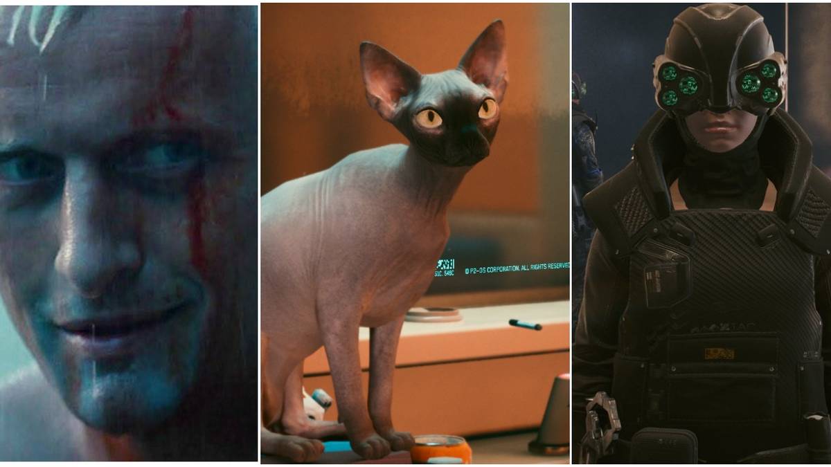 Cyberpunk 2077 Rarest Encounters