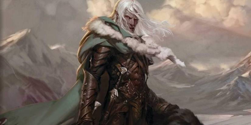 D&D's Drizzt do'urden in full armor