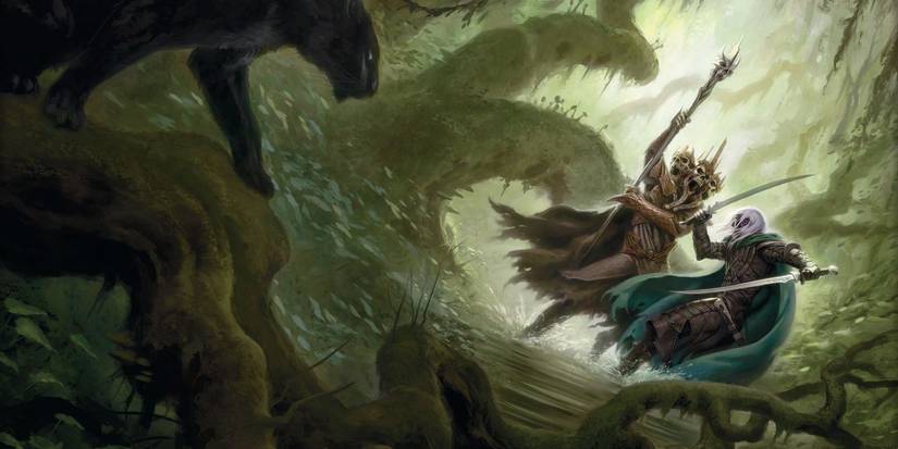 D&D's Drizzt fighting a shaman along with his pet