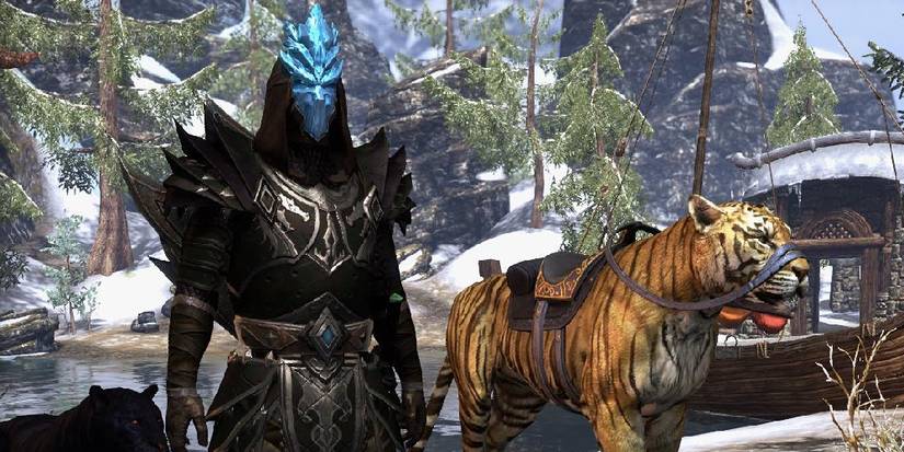 Dragonknight Obsidian Build Support ESO