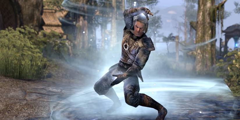 ESO Warden Skills Artic Blast