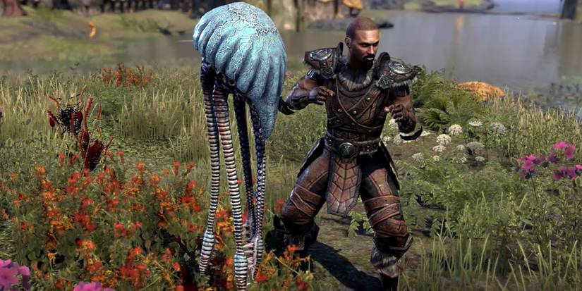 ESO Warden Skills Betty Netch