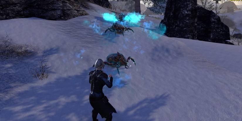 ESO Warden Skills Scorch