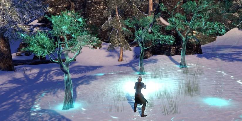 ESO Warden Skills Secluded Grove