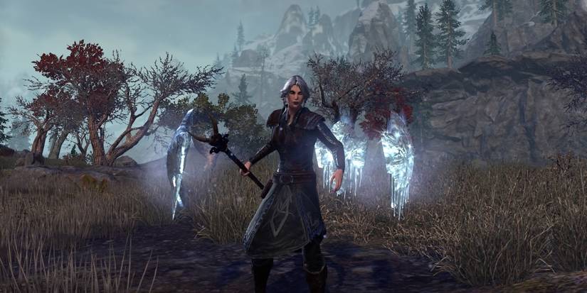 ESO Warden Skills Shimmering Shield