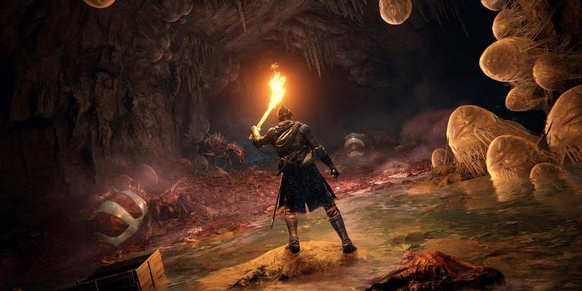 Protagonist exploring a cave full of spiders