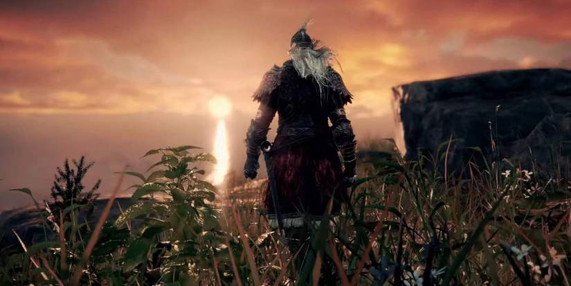 Elden Ring Tarnished, player character