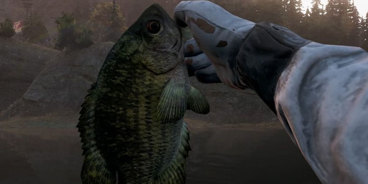 Far Cry 5 Fish