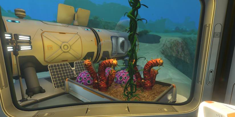 Garden Plot Subnautica