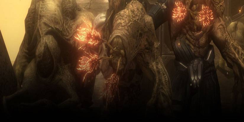 Halo: 10 Things You Didn't Know About The Human-Covenant War