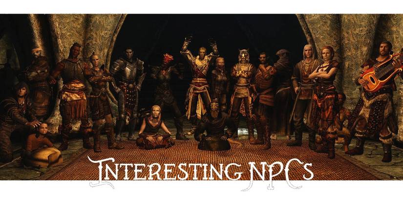 Collection Of NPCs From Interesting NPCs Mod From Skyrim
