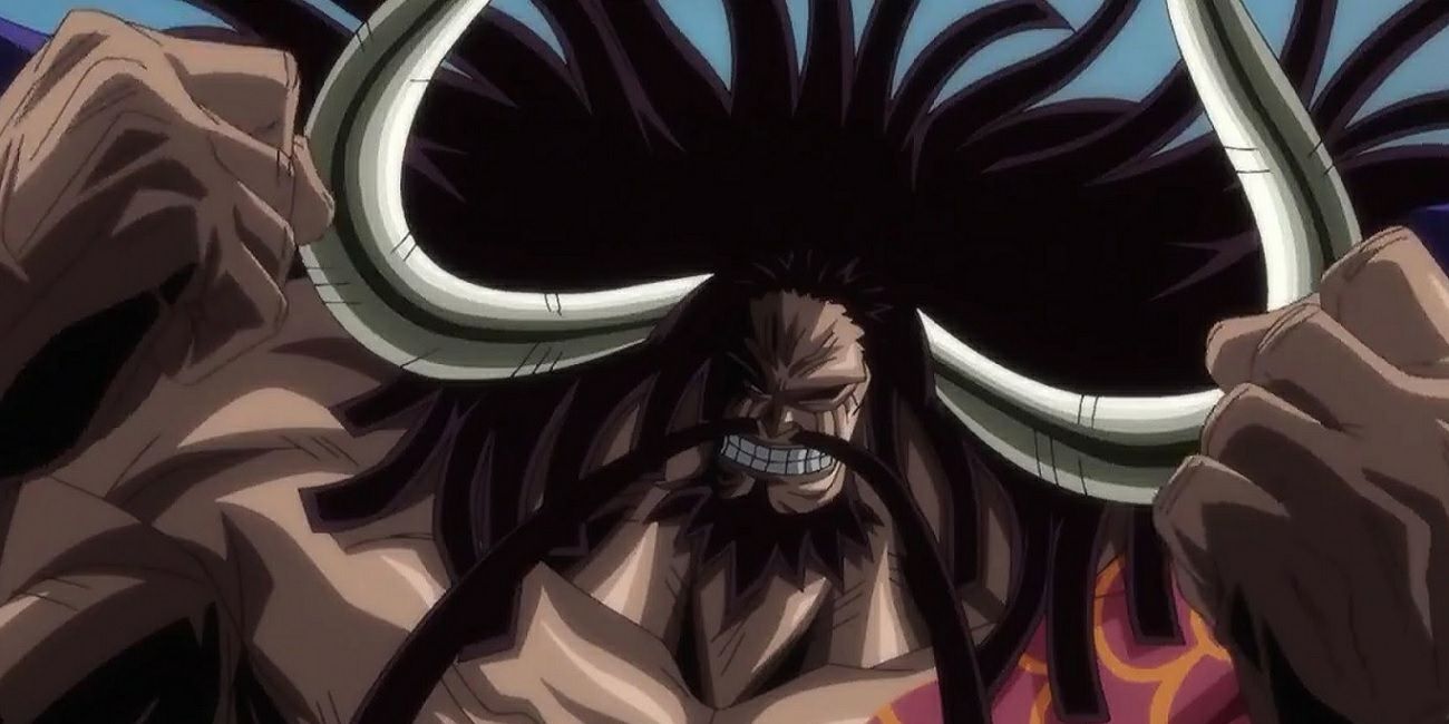 One Piece Kaido Arc Characters