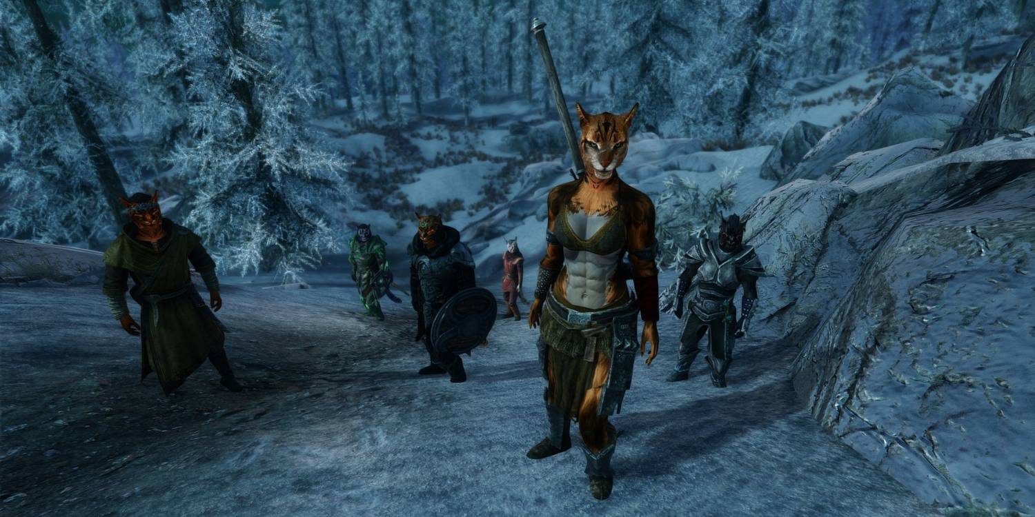 Khajiit-Will-Follow.jpg (1500×750)