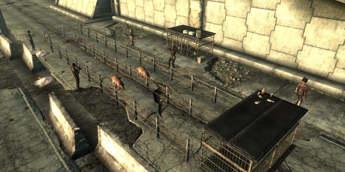 Mole Rat Race from Fallout 3