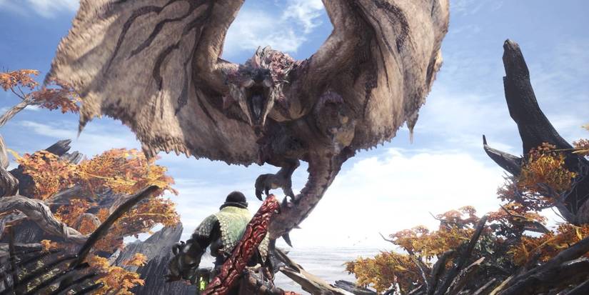 Monster Hunter Rathalos Fight