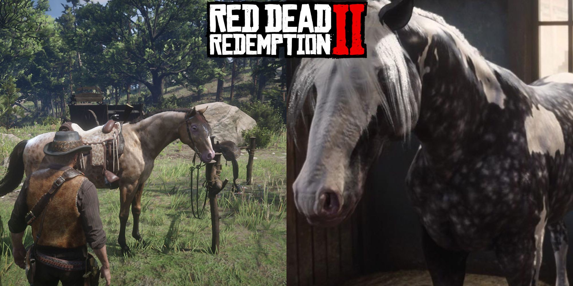 My Kingdom is a Horse : r/reddeadredemption