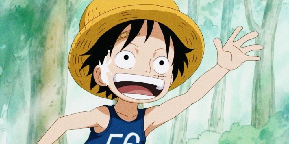 One Piece Young Monkey D Luffy Flashback