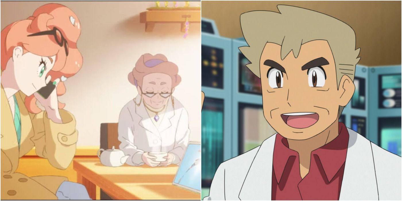 Professor's Oak, Magnolia and Sonia In The Anime