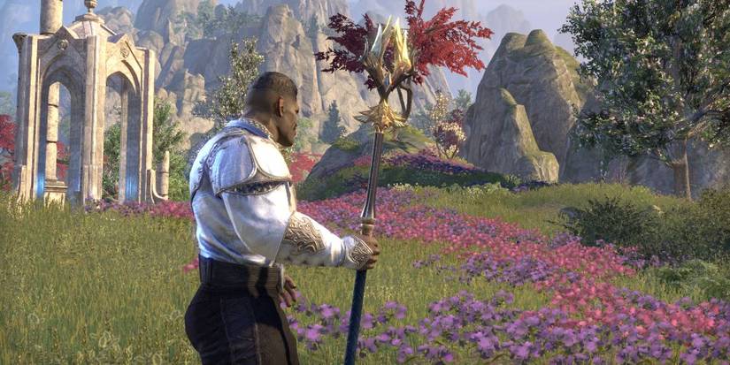 Restoration Staff Warden Elder Scrolls Online Warden Weapons